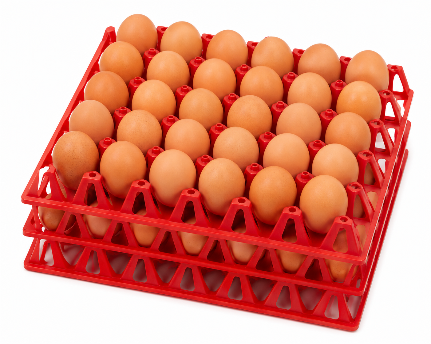 Eggs - Tray of 30