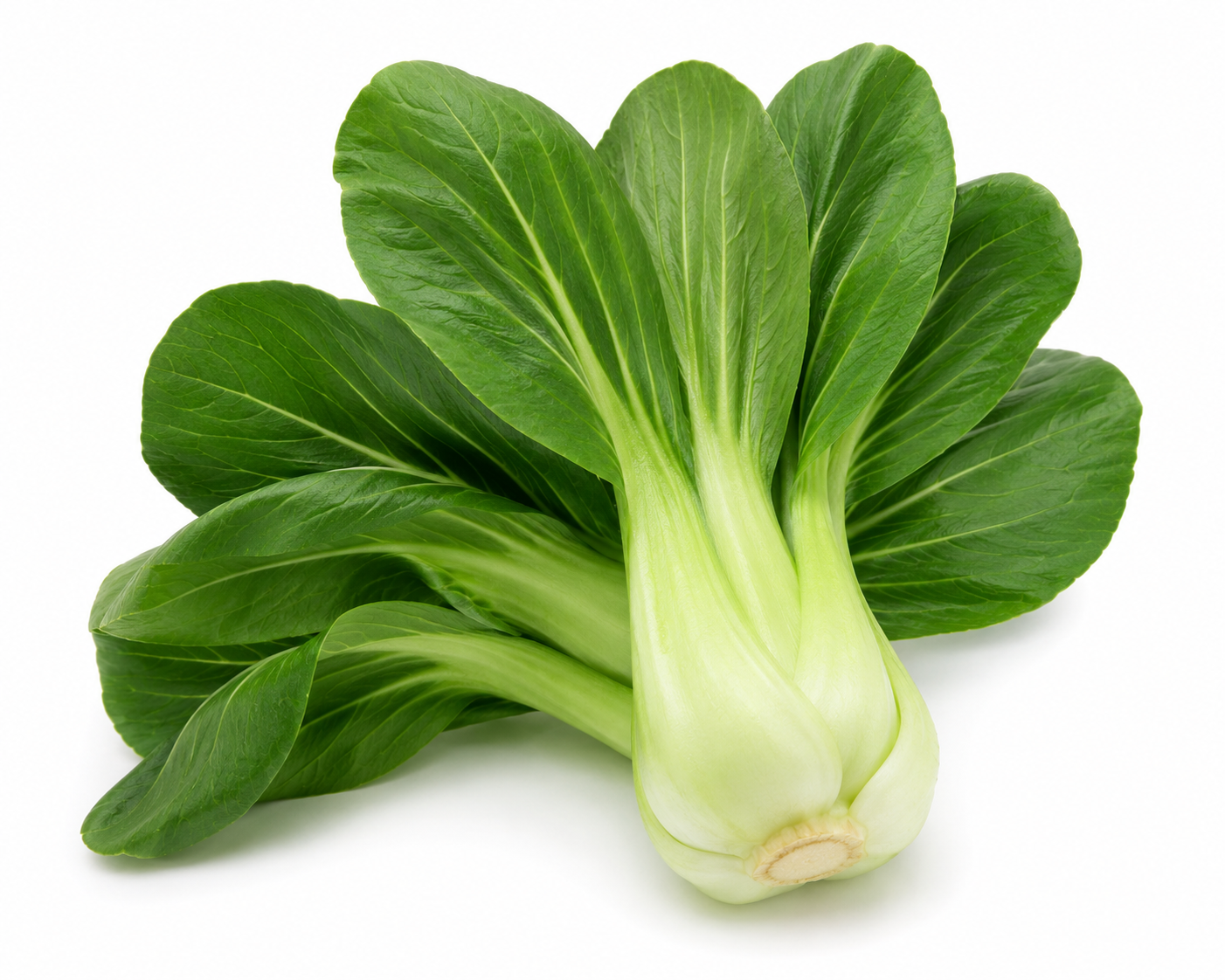 Pak Choi