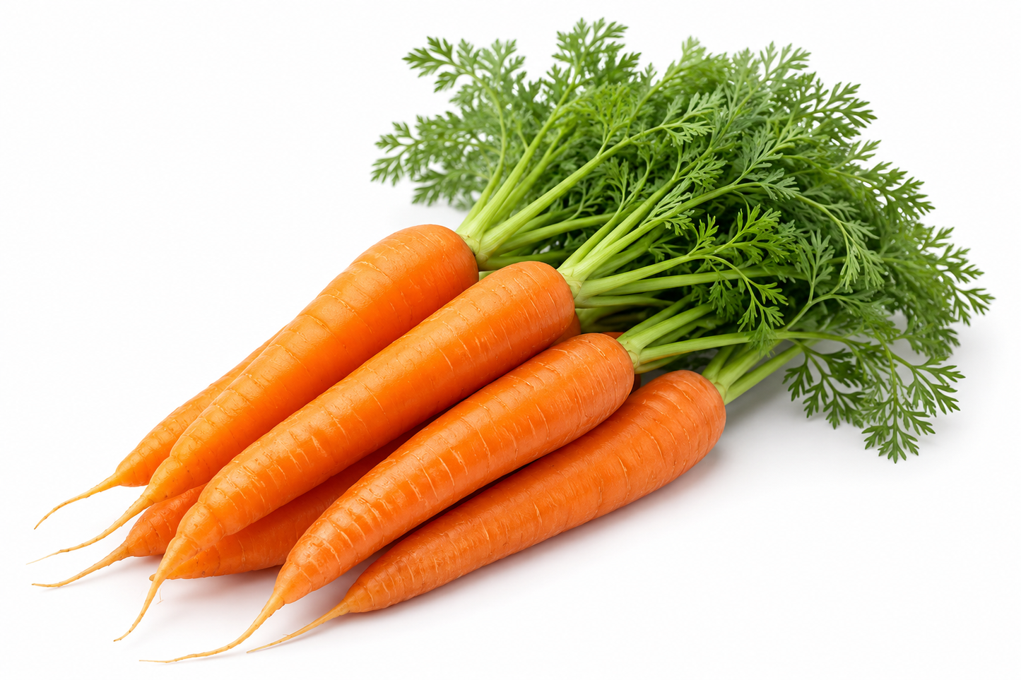 Organic Carrots