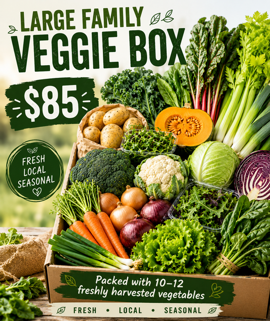 Large Family Box