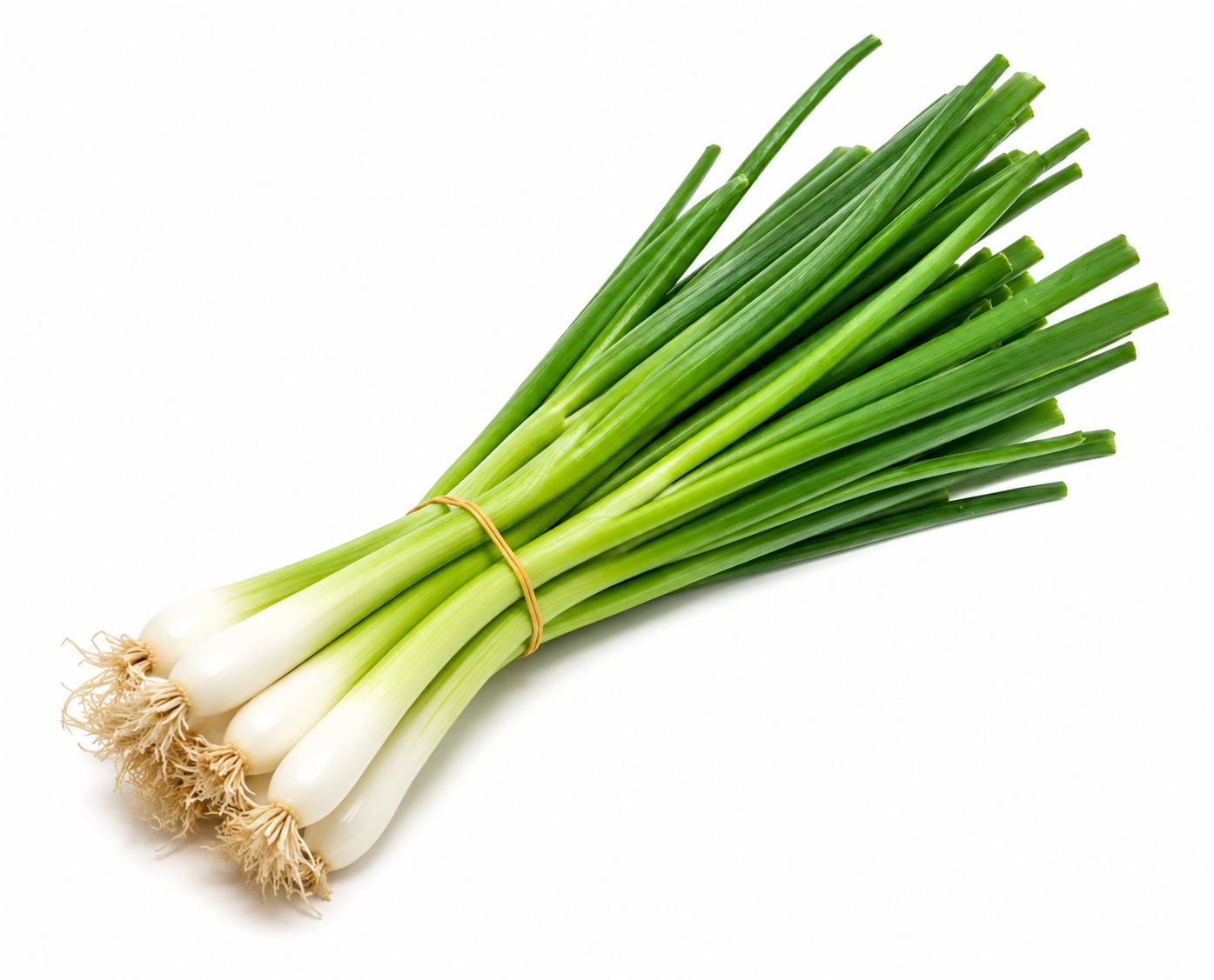 Organic Spring Onions