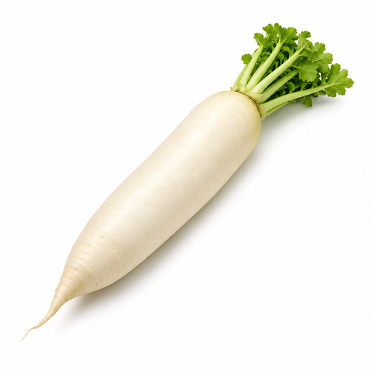 Organic Daikon Radish