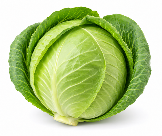 Green Cabbage