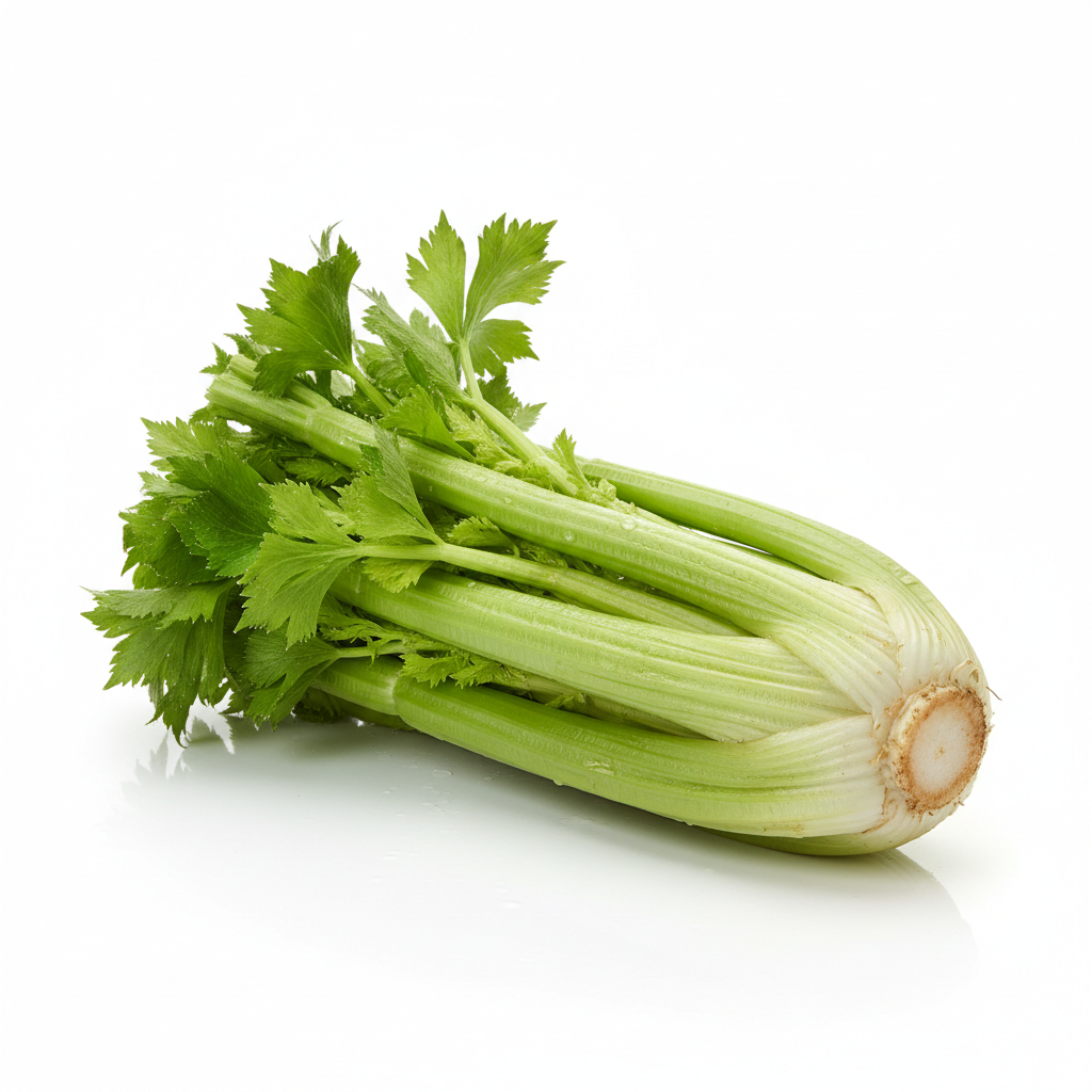 Fresh organic celery