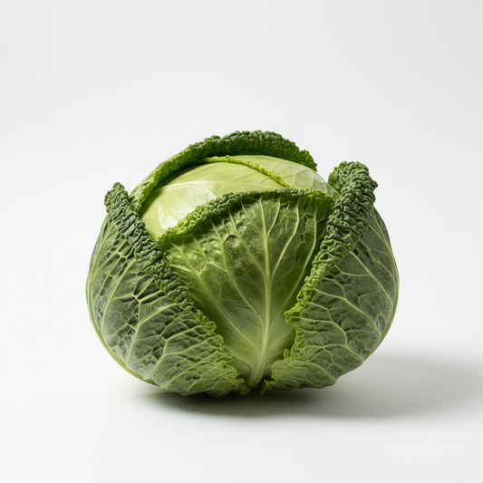 Fresh organic green cabbage