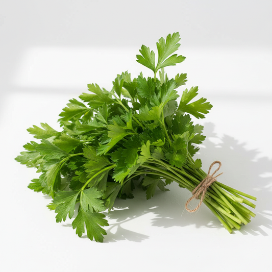 Organic flat leaf parsley bunch