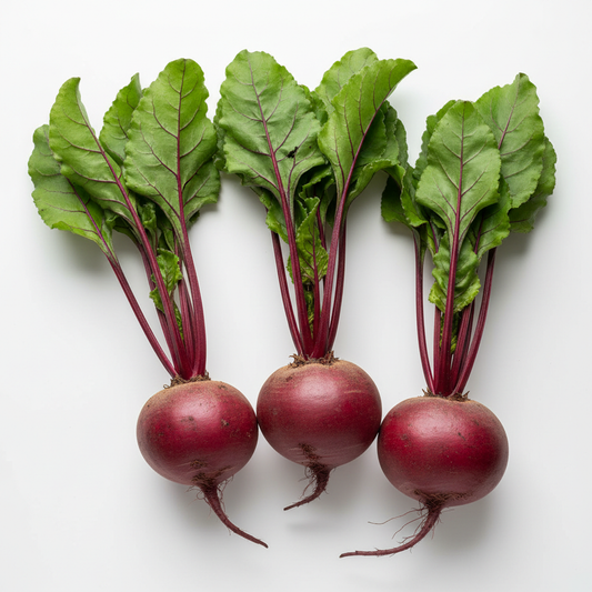 Fresh organic beetroot with tops