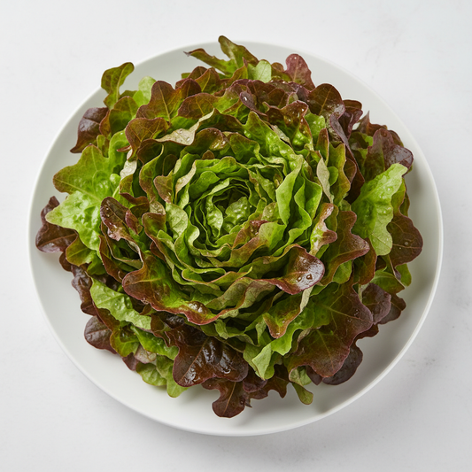 Organic fancy lettuce